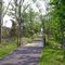 Bedminster Jogging Trail