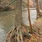 Helen Woodman Preserve