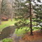 Buck Gardens in Moggy Hollow