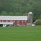 Country Farm
