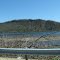 Browns Island from Route 11