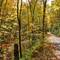 Hyner Run Road