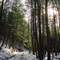 Hyner Run Road