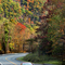 Along the Bucktail Trail Scenic Byway