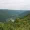 Red Pine (Lebo) Vista