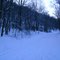 Snowy Road