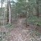 Sand Spring Trail