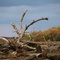 Ashokan Reservoir, Late Fall