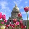 Charleston, WV Capitol