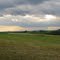 Rolling Fields