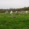 Keener Graveyard