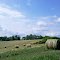Hay bales near Mapletown, PA
