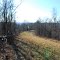 Warrior Trail