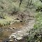 Trout Run Nature Preserve