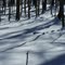 South Mountain winter day