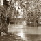 Covered Bridge Messiah College