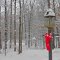 Snow and Christmas