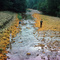 the rusty creek at loyalsock