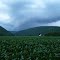 Storm over Forksville