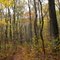 Horse Shoe / Turtle Trail at French Creek State Park