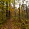 Horse Shoe / Turtle Trail at French Creek State Park