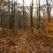 Horse Shoe / Turtle Trail at French Creek State Park