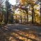 Ridge / Turtle Trail at French Creek State Park