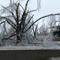 December 07 Ice Storm