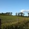 Rural Legacy