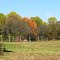 Fall Day