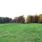 Fall Field