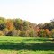 Fall Shadows