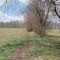 Preserved land in the Brandywine Creek Valley