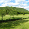 View of Beatty Knob from Locke Mills