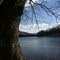 South along the Juniata