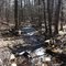 Mountain Stream