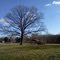Bert Reel Park