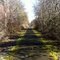 Path to nowhere