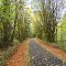 banks vernonia trail Oct 2012