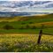 Layers of Color