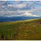 The Dalles Mountain Road