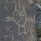Spedis Owl petroglyph