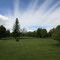 Malin Park...