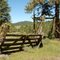 Worlow corral