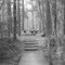 The Canoe Landing at Aiken State Park