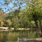 Lake at Aiken State Park