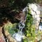 Artesian Well in Aiken State Park