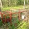 Hog trap at Beaman's place