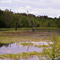 Elm lake, Brazos River State Park, Texas