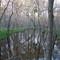 Brazos Bend State Park